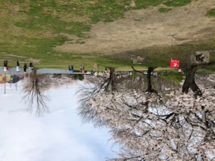 ファイル 142-4.jpg